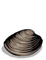 FOOD0120.CGM