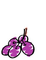 FOOD0010.CGM