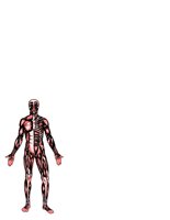 MEDI0094.CGM