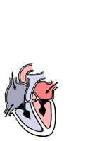 MEDI0087.CGM