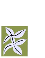 NATU0497.CGM