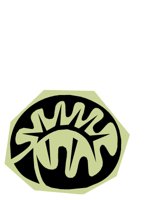 NATU0466.CGM