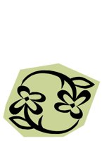 NATU0456.CGM