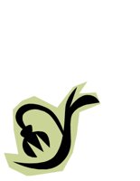 NATU0448.CGM