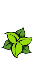 NATU0427.CGM