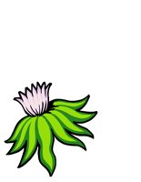 NATU0426.CGM