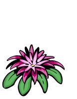 NATU0425.CGM