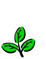 NATU0408.CGM