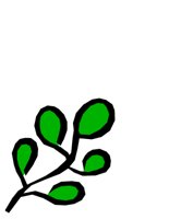 NATU0383.CGM
