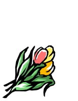 NATU0379.CGM