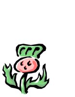 NATU0378.CGM