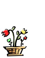 NATU0370.CGM