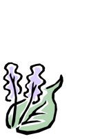 NATU0360.CGM