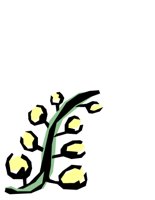 NATU0346.CGM