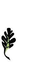 NATU0249.CGM