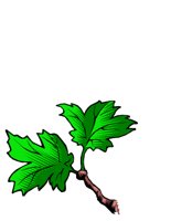 NATU0208.CGM