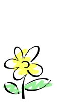 NATU0167.CGM