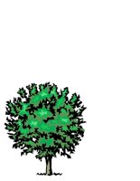 NATU0083.CGM