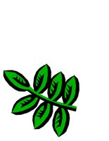 NATU0077.CGM
