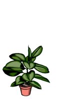 NATU0064.CGM