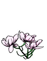 NATU0058.CGM