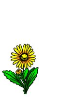 NATU0055.CGM