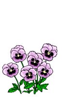 NATU0053.CGM