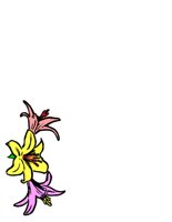 NATU0052.CGM