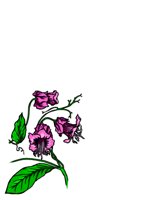 NATU0051.CGM
