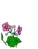 NATU0050.CGM