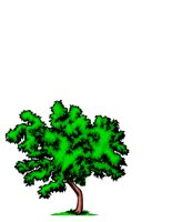 NATU0044.CGM
