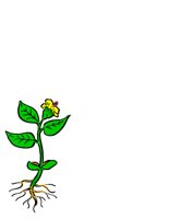NATU0032.CGM