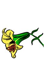 NATU0031.CGM