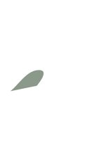 TEXT1008.CGM