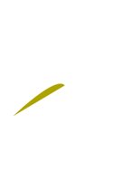 TEXT1004.CGM