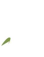 TEXT1000.CGM
