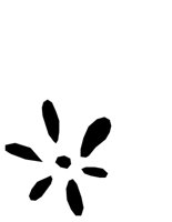 TEXT0439.CGM