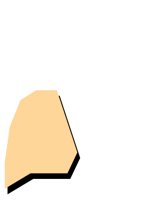 WORL0509.CGM