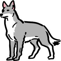 ANIM0582.WMF