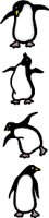 ANIM0570.WMF