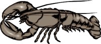ANIM0495.WMF
