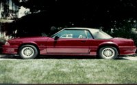 MUSTANG.GIF