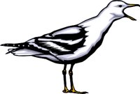 ANIM0365.WMF