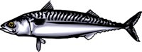 ANIM0350.WMF