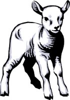 ANIM0229.WMF