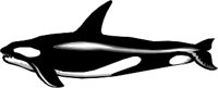 ANIM0227.WMF
