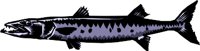 ANIM0187.WMF