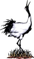 ANIM0060.WMF