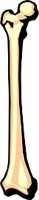 MEDI0092.WMF