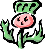 NATU0378.WMF